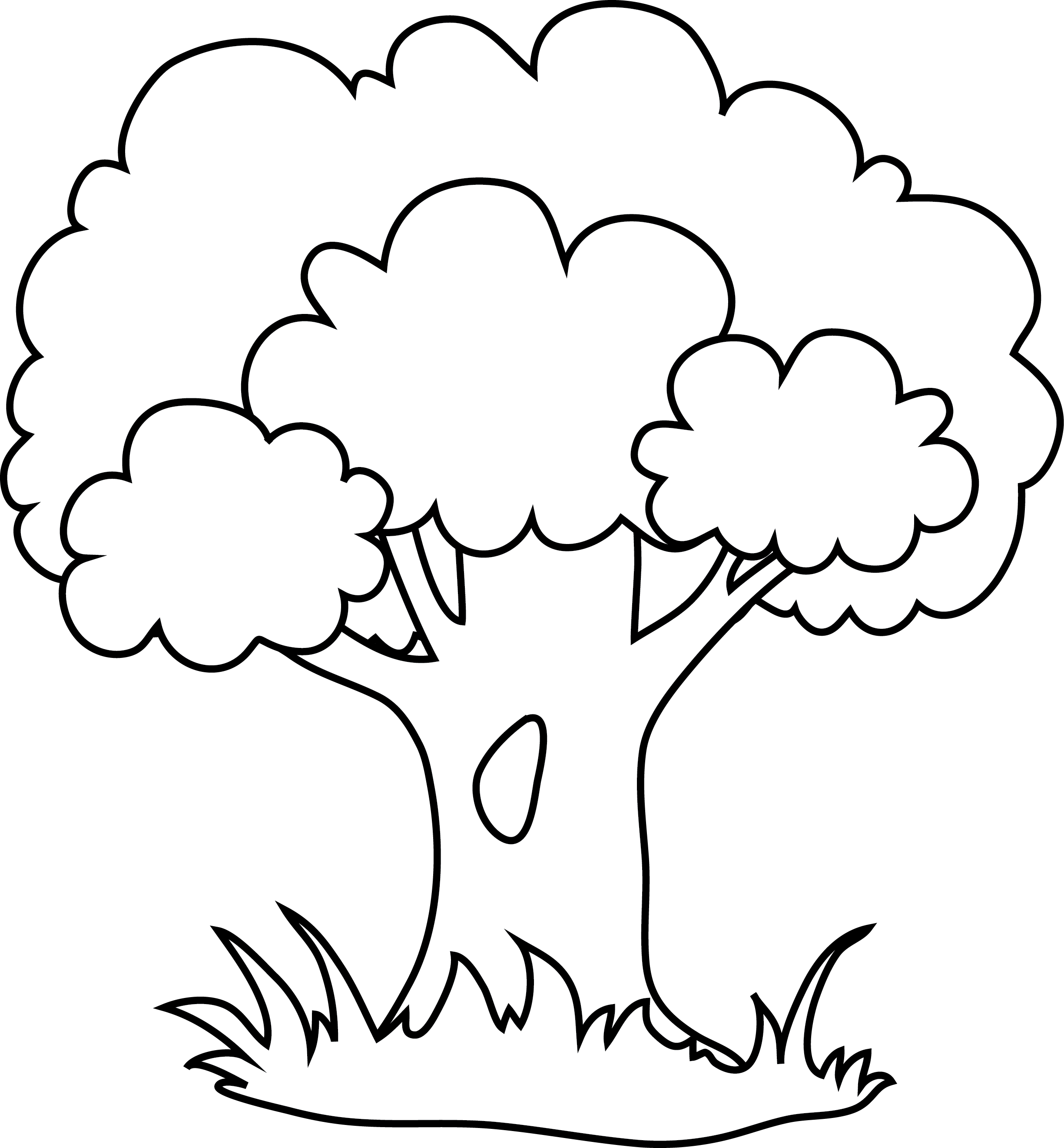 clip art line drawing of a tree - photo #49
